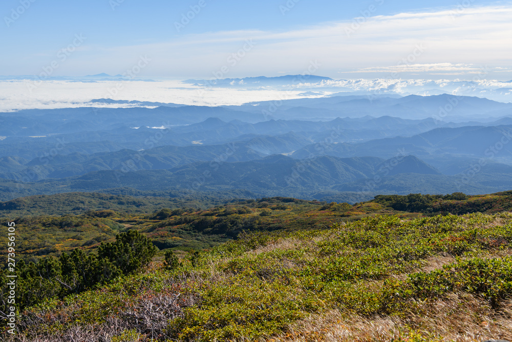 Fototapeta premium 祓川から鳥海山に向かう登山道から見た朝の展望