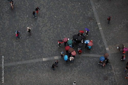 Umbrella Fromm Above