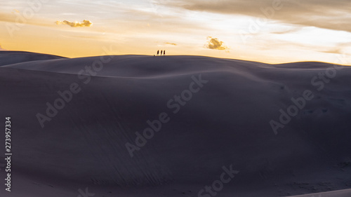 3 people and dog cross the great sand dunes
