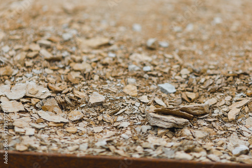 Принти на полотні shale slate stones, close-up view