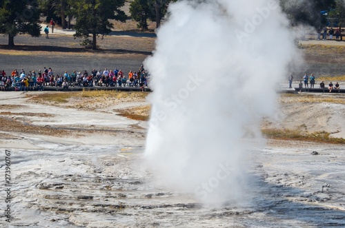 Old faithful geyser in yellowstone national park