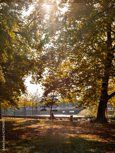 Autumn color of Platzspitz Park in Zurich, Switzerland photo