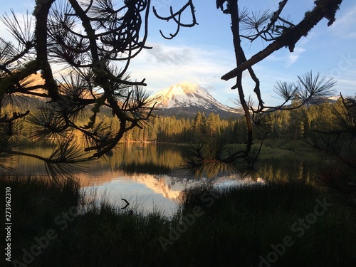 Forest lake
