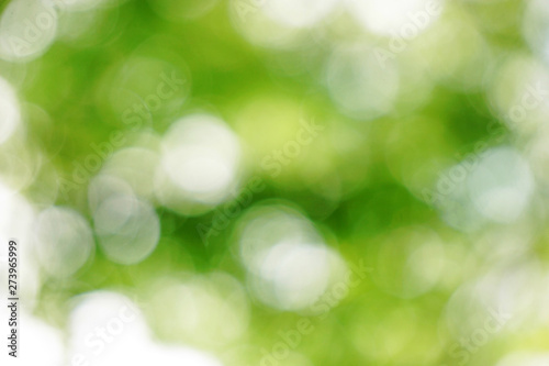 Background material of natural ball bokeh 自然の玉ボケの背景素材