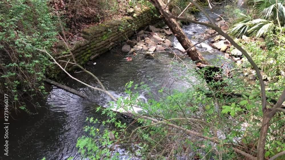 Bubbling creek that runs through the woods with tree branches and limbs hanging above the water. Bubbling creek that runs through the woods with tree branches and limbs hanging above the water.