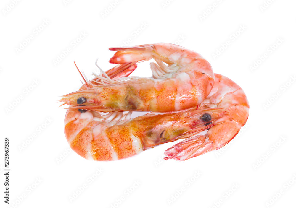 Shrimp isolated on the white background Shrimp isolated on the white background
