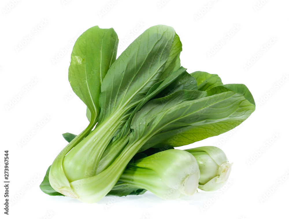 Chinese Vegetable cabbage on white background Chinese Vegetable cabbage on white background