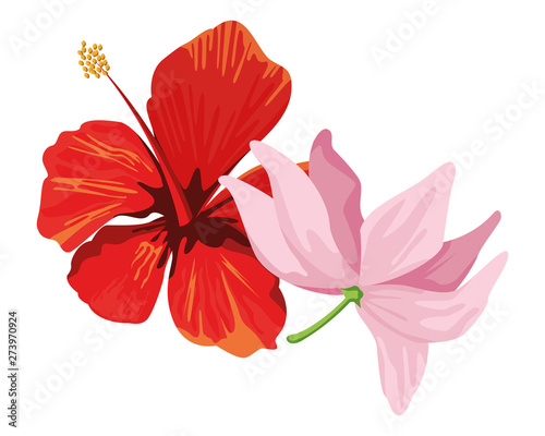 lotus blossom flowers icon cartoon