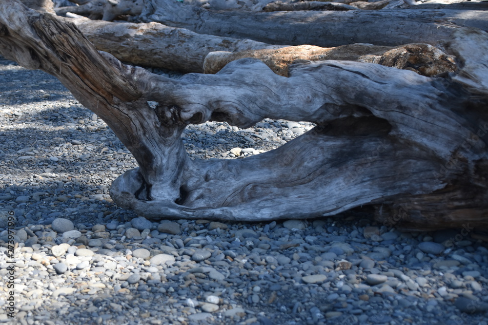 Ruby Beach,Washington State June 4,2019 drift wood covering the beach Ruby Beach,Washington State June 4,2019 drift wood covering the beach
