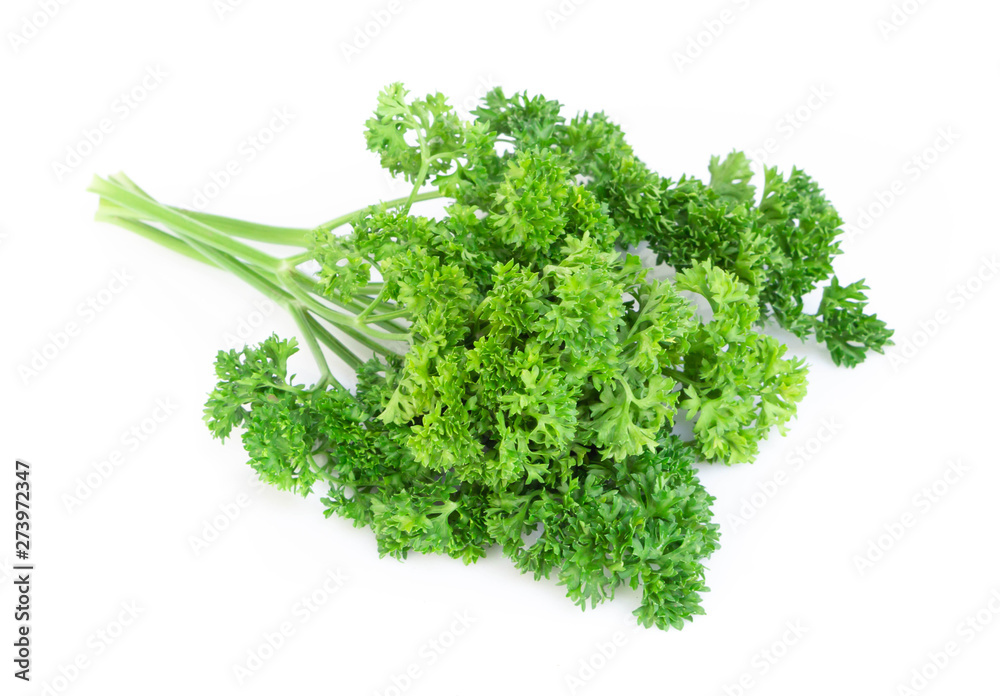 Parsley vegetable isolated on white background Parsley vegetable isolated on white background
