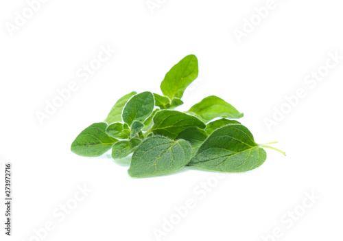 Oregano or marjoram leaves isolated on white background