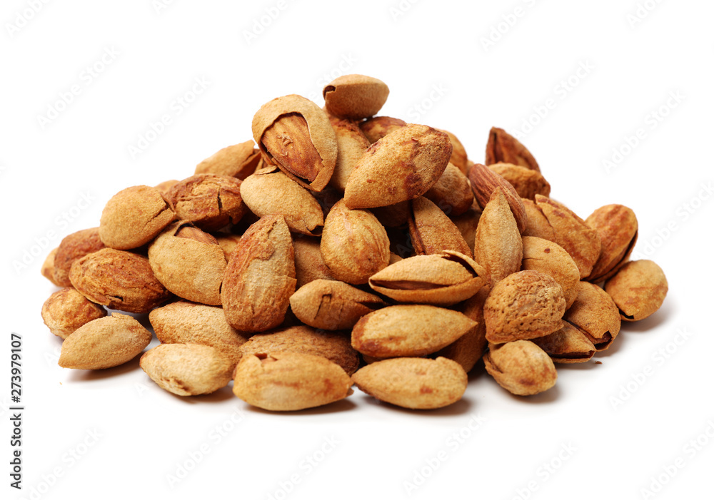 apricot kernel isolated on white background apricot kernel isolated on white background