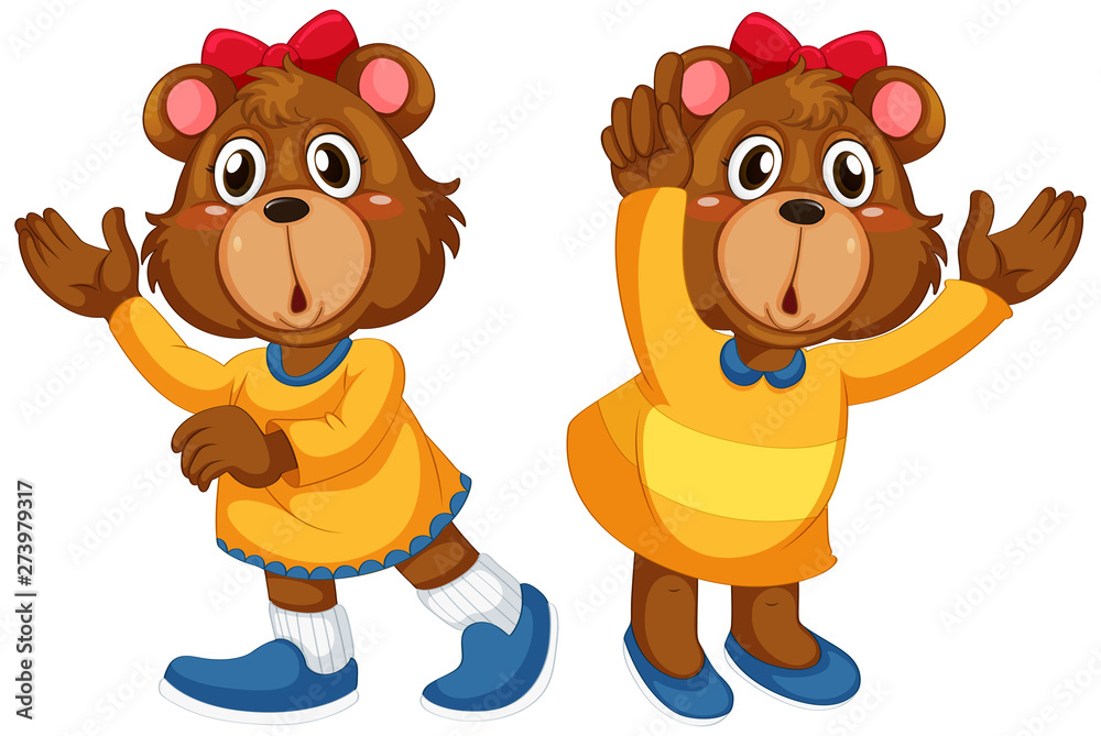 Set of surprise bear Set of surprise bear