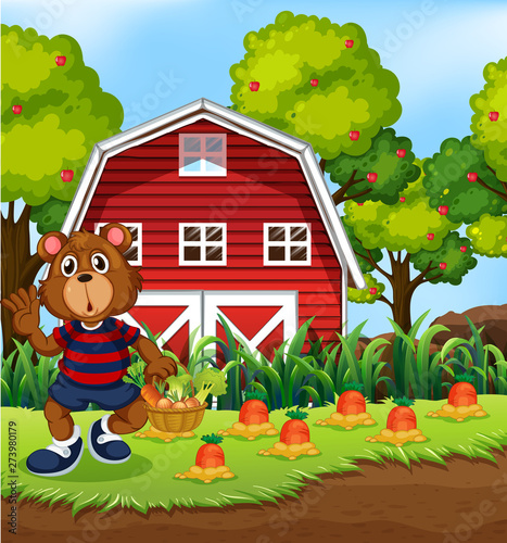 Bear harvest fresh vegetable