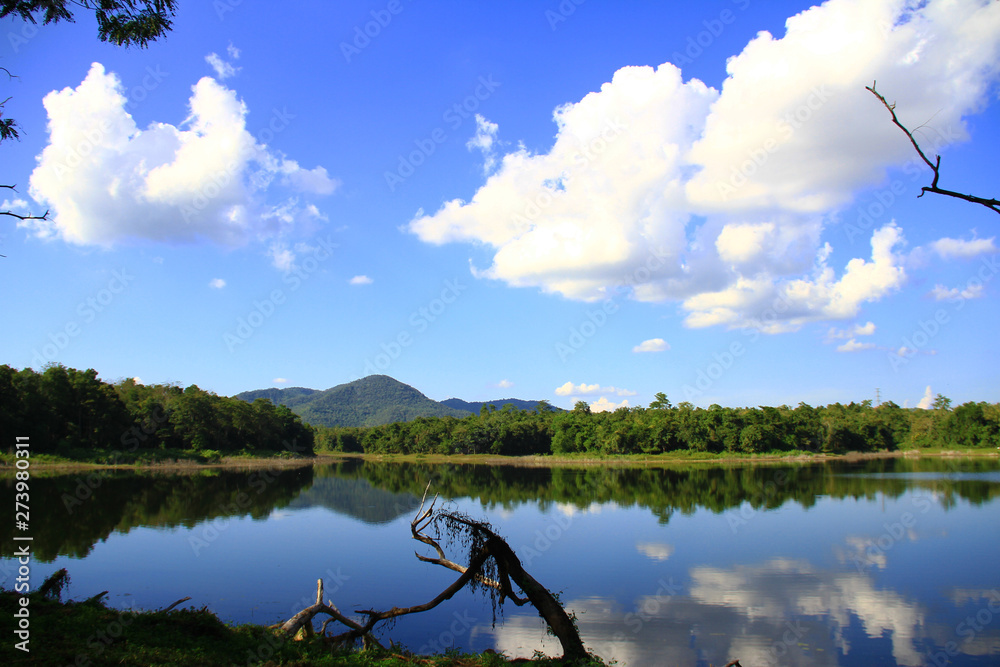 Blue sky and clouds on the lake with branches and trunk of trees. natural background.