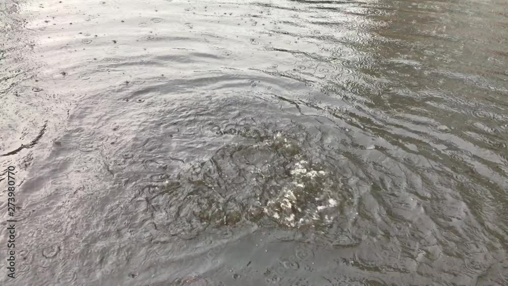 Over flowing sewerage due to heavy rainfall. Over flowing sewerage due to heavy rainfall.