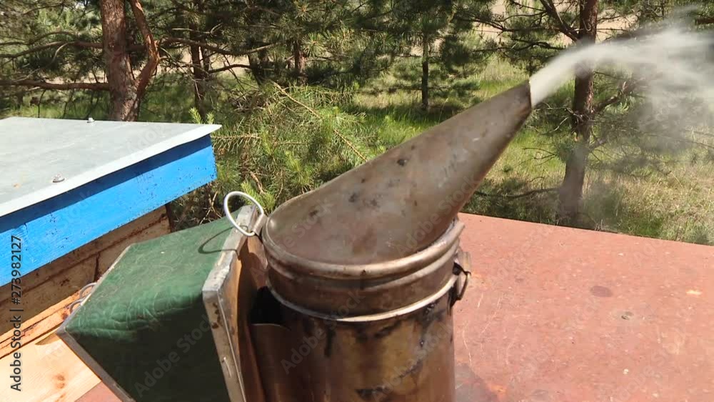 Beekeeper harvesting honey. The bee smoker is used to calm bees before frame removal. Beekeeper harvesting honey. The bee smoker is used to calm bees before frame removal.