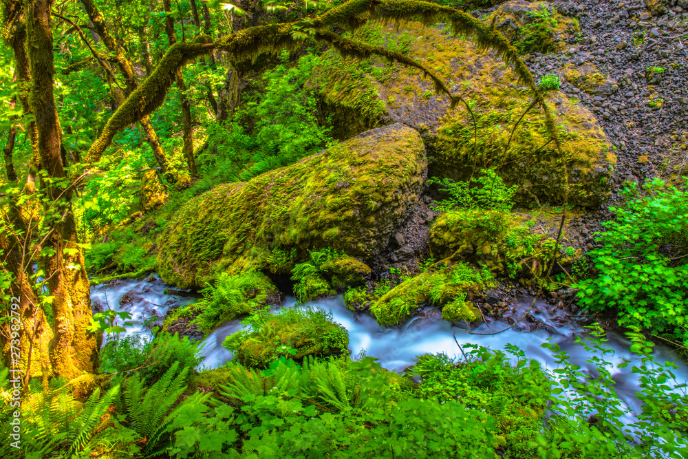 Beautiful Morning Hike to Wahkeena Falls on Columbia Gorge in Portland, Oregon