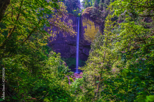 Beautiful Morning Hike to Latourell Falls on Columbia Gorge in Portland, Oregon photo