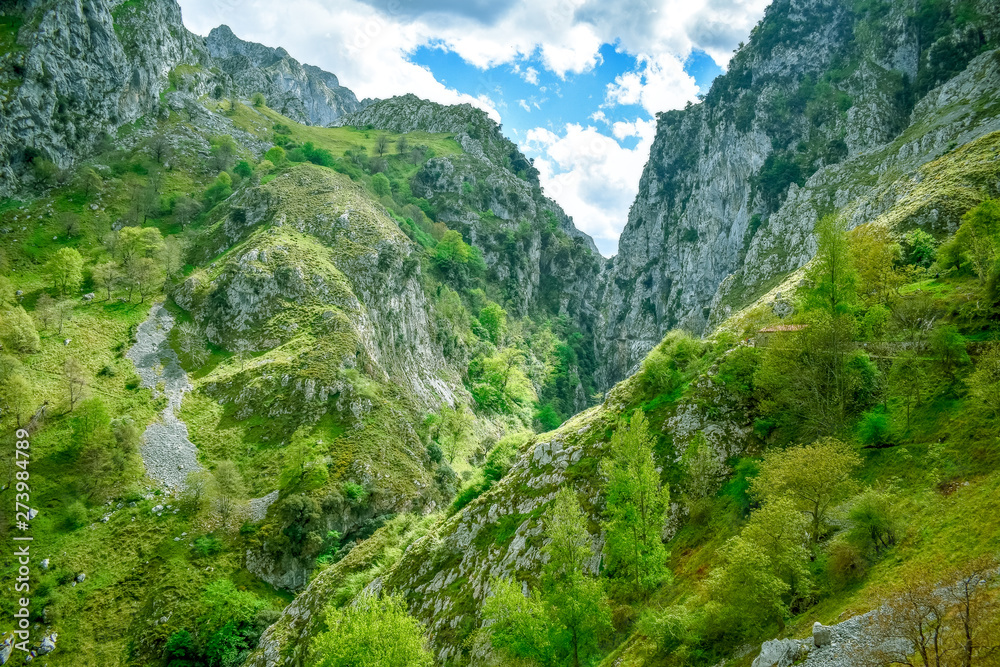 Green mountain landscape in Cares Trekking Route, Asturias