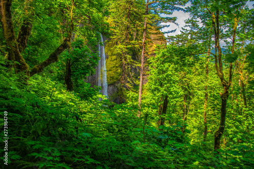 Beautiful Morning Hike to Latourell Falls on Columbia Gorge in Portland, Oregon