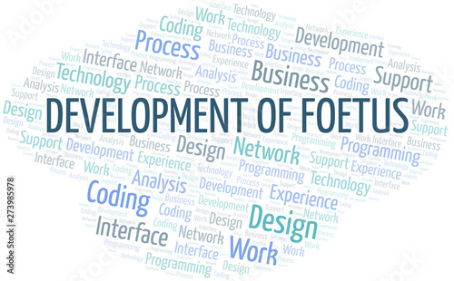 Development Of Foetus word cloud. Wordcloud made with text only.