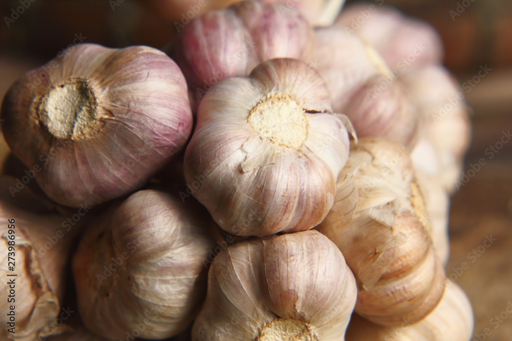 Spicy cooking ingredient garlic for thai food Spicy cooking ingredient garlic for thai food
