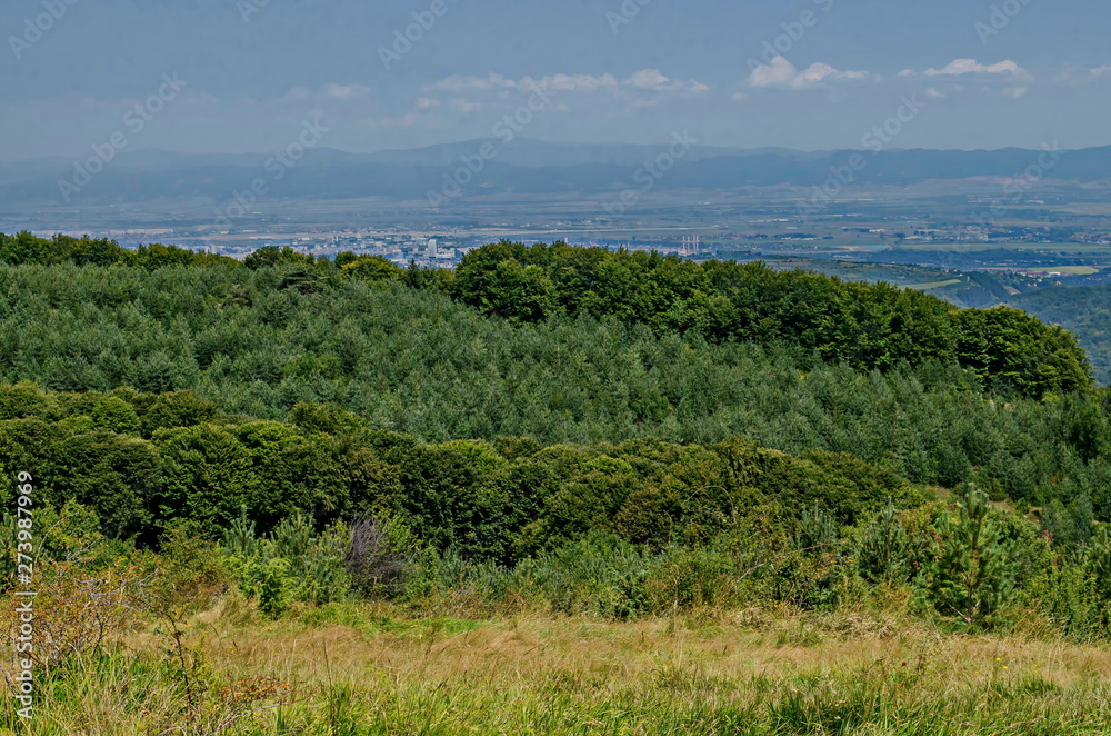 Panorama of glade and  green mix forest in Vitosha mountain  and part at Sofia city in front of Balkan mountain, Bulgaria 