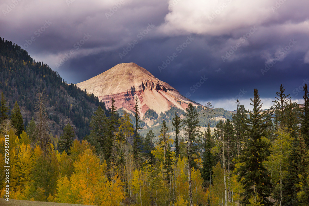 Fototapeta premium Autumn in Colorado