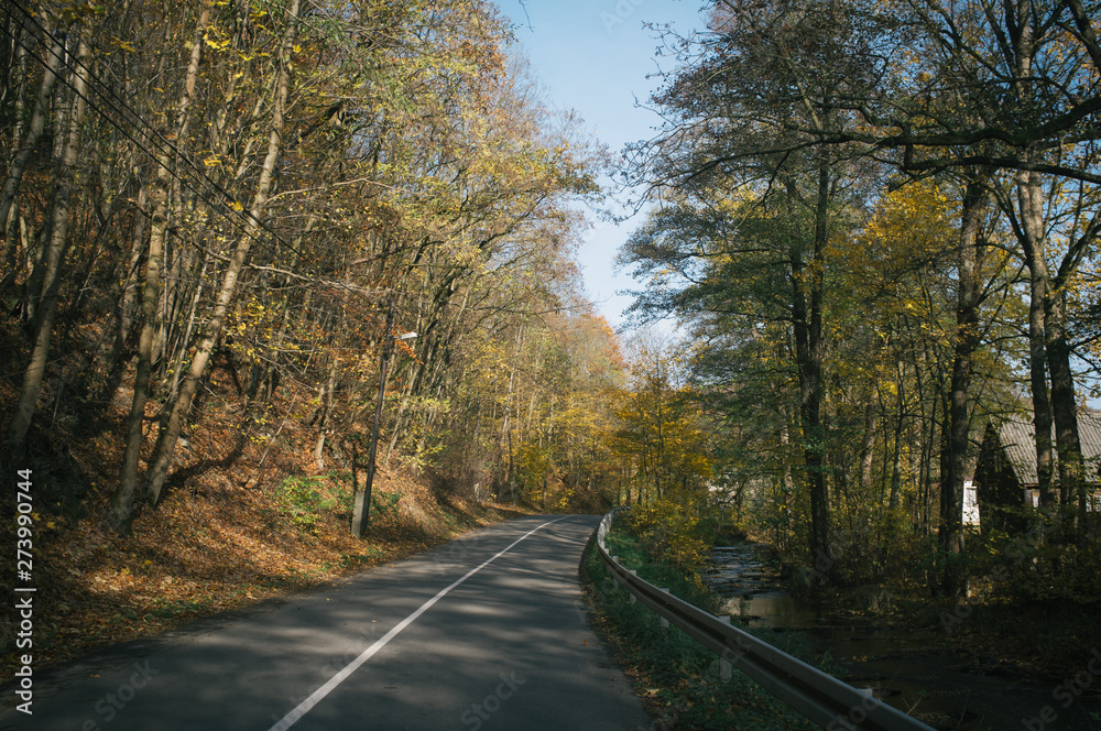 Autumn bike ride with climbing up in the valley covered with golden leaves