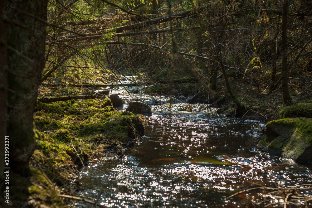 Small stream through a nature reserve