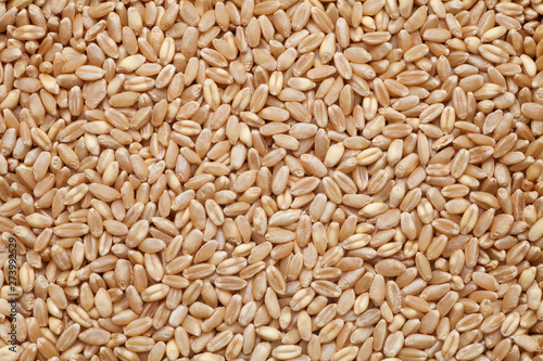 Fresh wheat grains, Food background.