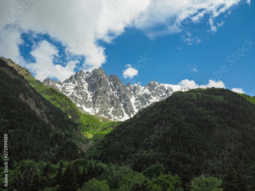 Obraz na plátně beautiful mountain landscape with mountains densely covered with forest and coniferous trees and rocky peaks partially covered with snow on the background of bright blue sky and white clouds