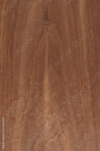 Texture of wood, wooden background. wooden texture wallpaper