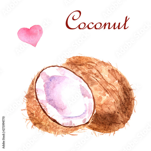 Watercolor tropical illustration with coconut on a white background