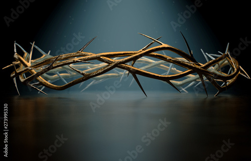 Fotografering Crown Of Thorns