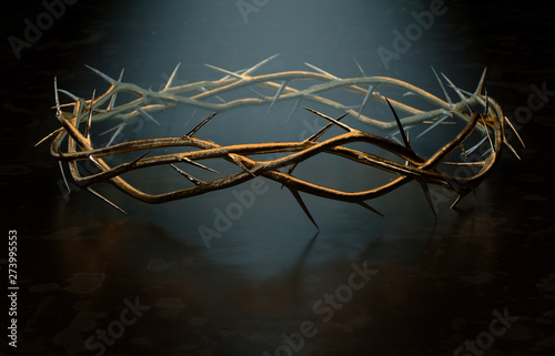Canvas Print Crown Of Thorns