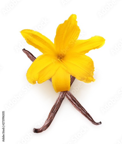 Vanilla pods and orchid flowers isolated