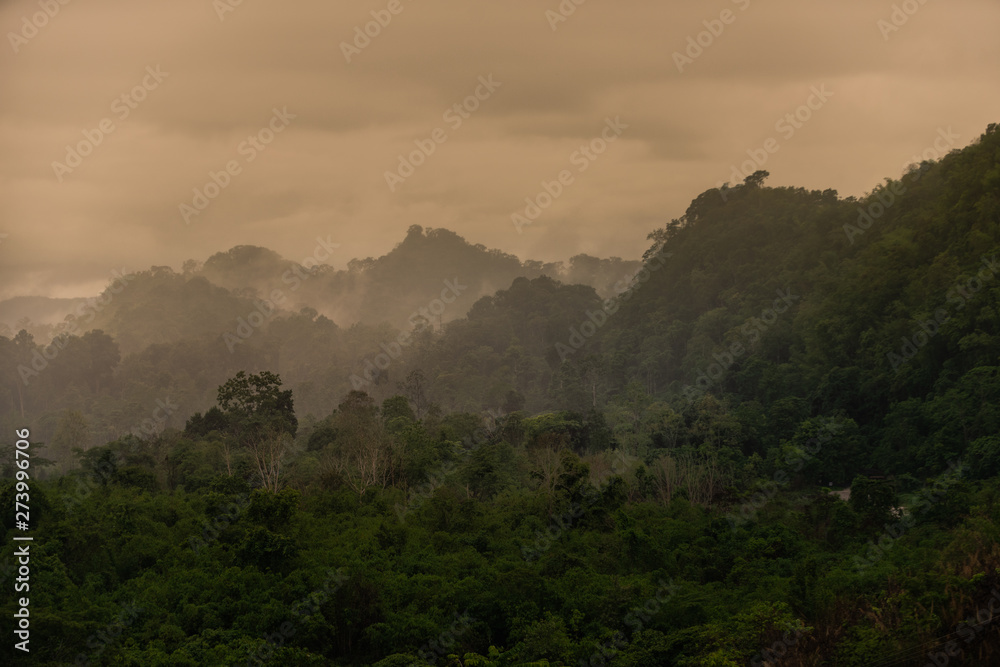 beautiful landscape nature of rain forest and mountain background. tropical forest of thailand.