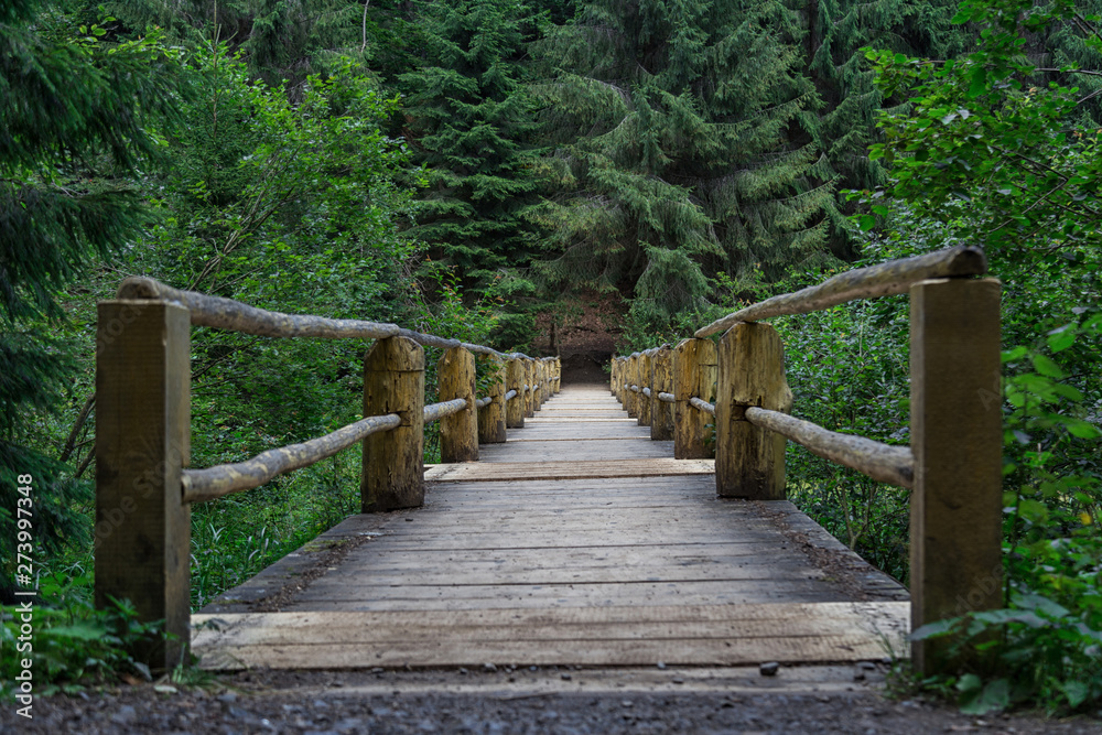Old wooden bridge in green. Idyllic lonely place near lake Synevyr in Carpathian mountains, Ukraine. Sunny summer day. Old wooden bridge in green. Idyllic lonely place near lake Synevyr in Carpathian mountains, Ukraine. Sunny summer day.