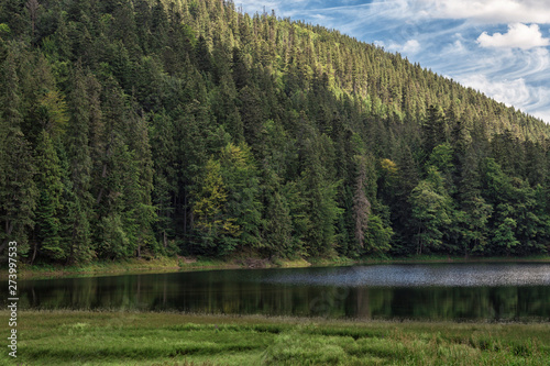 Lake Synevyr in Carpathian mountains, Ukraine. Beautiful mountain lake surrounded by dense green forest on blue sky and white clouds background. Reflection in the clean water