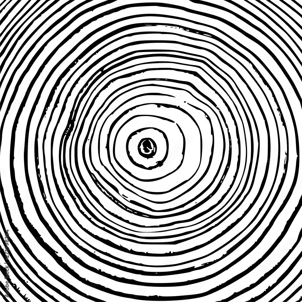 Tree ring icon logo, wood trunk, Black and white background Tree ring icon logo, wood trunk, Black and white background