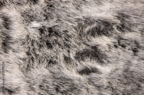 Background from natural fur. Animal Hair Background. Black and White Background.