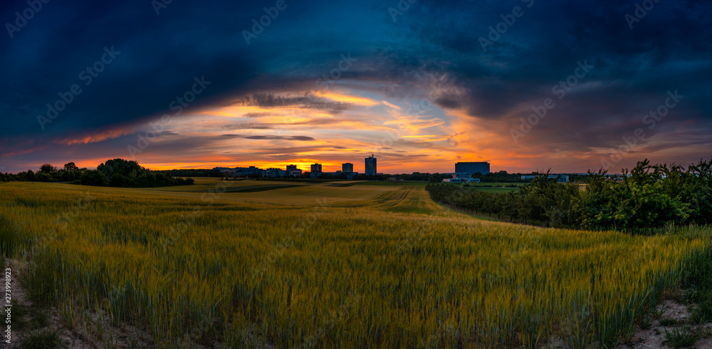 Sonnenuntergang Kornfelder Rheinhessen Sonnenuntergang Kornfelder Rheinhessen