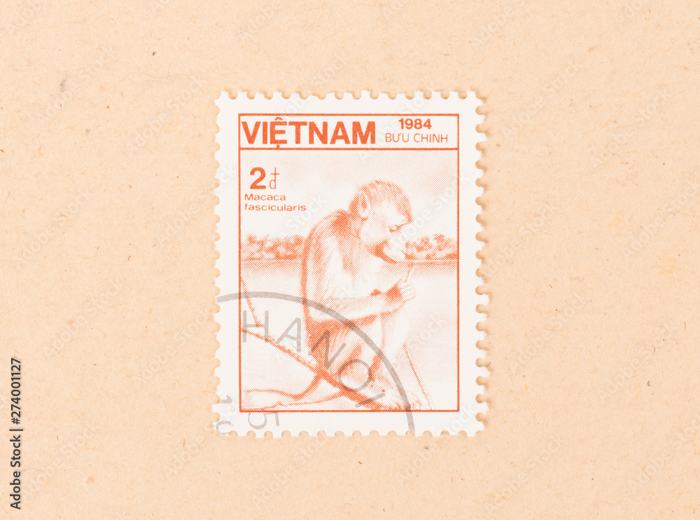 VIETNAM - CIRCA 1984: A stamp printed in Vietnam shows a monkey, circa 1984