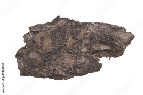 tree bark isolated on white background