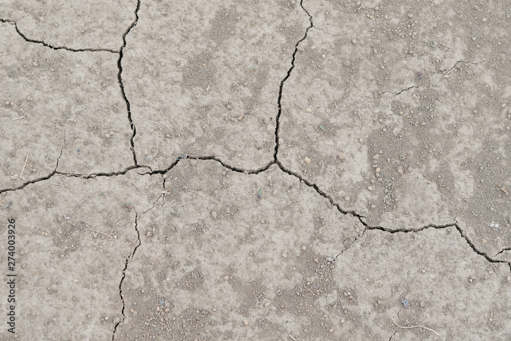 Fototapeta premium ひび割れ