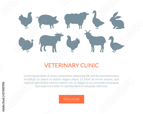 Veterinarian Clinic Landing Page Template, Farm Animals, Turkey, Cow, Rabbit, Goat, Goose, Chicken Vector Illustration
