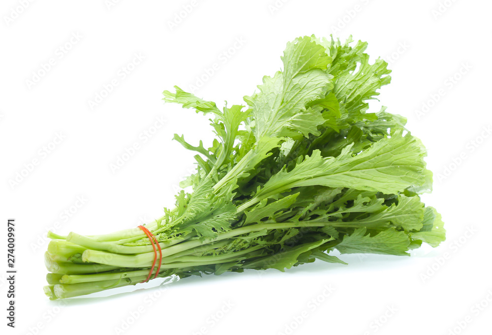 Chinese cabbage on white background Chinese cabbage on white background