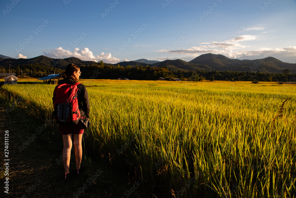 Beautiful traveler woman with backpack on rice fields in Thailand